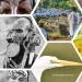 visitor attractions in ethiopia and adventure tourism highlights