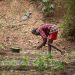 AfDB initiative boosting food security in Africa through sustainable farming