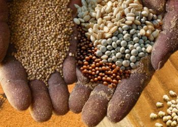 Senegal Economic Growth Accelerates as $23.5 Billion Pledged to Invest in Senegal Agriculture