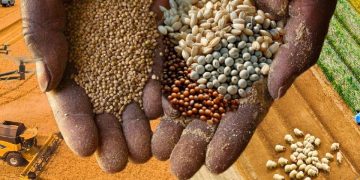 Senegal Economic Growth Accelerates as $23.5 Billion Pledged to Invest in Senegal Agriculture