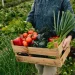 Youth agriculture programs in Zimbabwe supporting food sustainability and participating in agriculture development forum