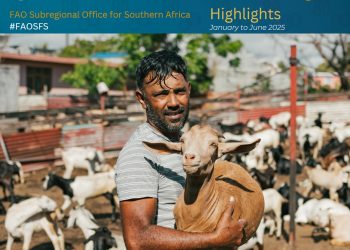 FAO impact on agriculture in southern Africa driving southern africa food systems transformation