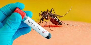 Dengue mitigation efforts in Waziristan as health teams monitor dengue fever diagnosis and transmission risk
