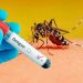 Dengue mitigation efforts in Waziristan as health teams monitor dengue fever diagnosis and transmission risk