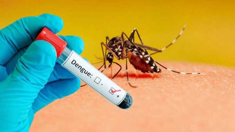 Dengue mitigation efforts in Waziristan as health teams monitor dengue fever diagnosis and transmission risk