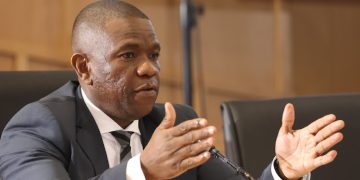 Parliament hearing significant details on Mkhwanazi allegations and Minister Senzo Mchunu accusations