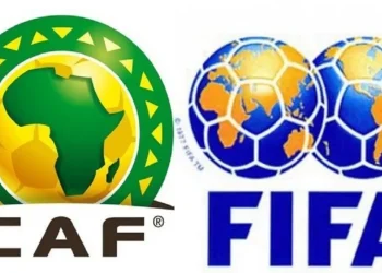 african fifa ranking november analysis top 10 table