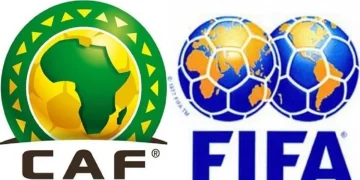 african fifa ranking november analysis top 10 table