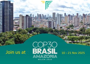 green energy solutions africa presented by Afreximbank at COP30
