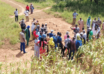 sustainable agriculture practices supporting climate adaptation strategies in the Sahel