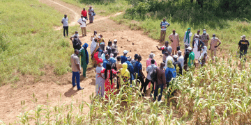 sustainable agriculture practices supporting climate adaptation strategies in the Sahel