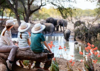 South Africans explore luxury travel destinations and adventure holiday activities for unique experiences South Africa.