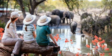South Africans explore luxury travel destinations and adventure holiday activities for unique experiences South Africa.