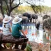 South Africans explore luxury travel destinations and adventure holiday activities for unique experiences South Africa.
