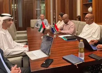 UAE and South Africa strengthen investment in energy sector and economic ties
