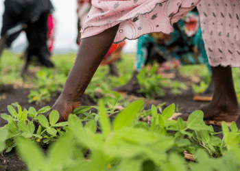 protection of vulnerable populations united nations relief operations