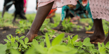 protection of vulnerable populations united nations relief operations