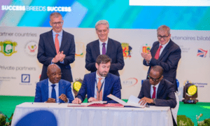 UK and African business leaders in Togo attending WCAF IV summit for Africa investment initiatives and trade partnerships.