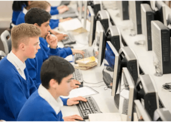 employment opportunities and skill-building workshops South Africa