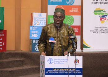 Sustainable forestry in African communities and wildlife monitoring programs at AFWC25