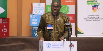 Sustainable forestry in African communities and wildlife monitoring programs at AFWC25