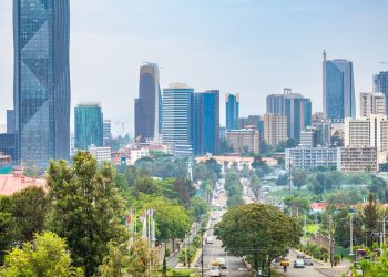 FDI growth southern Africa and investment promotion COMESA soar to record highs