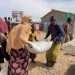 West and Central Africa hunger crisis