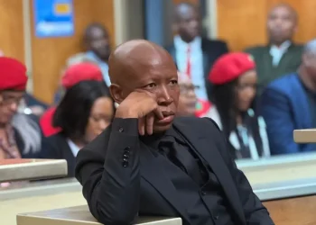Julius Malema Sentencing High Stakes for South Africa’s EFF