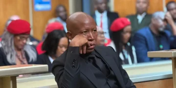 Julius Malema Sentencing High Stakes for South Africa’s EFF