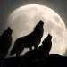 wolf full moon January 2026 supermoon brightness