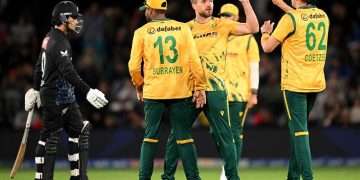 Epic Win! South Africa vs New Zealand T20 Final Highlights