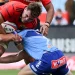 Bulls vs Munster 2026: Papier & Pollard Lead Thrilling URC Win
