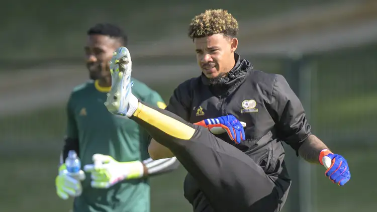 Bafana Bafana vs Panama: Hugo Broos Demands Victory in Africa News Update 2026