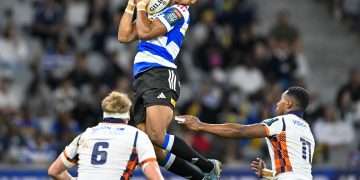 Stormers vs Edinburgh URC Result: Cape Town Win in Africa News Update 2026