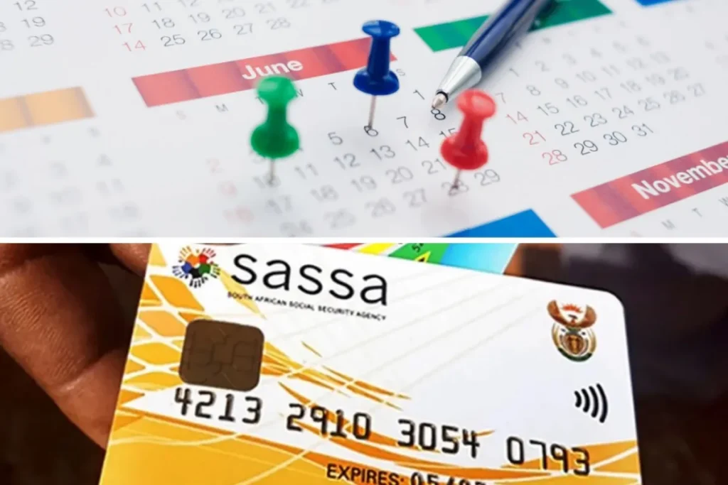 SASSA E-Life Certification Requirement 2026: Step-by-Step Guide to Secure Your Grant