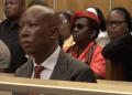 Julius Malema Pre-Sentencing: EFF Leader’s Strategy to Avoid Jail