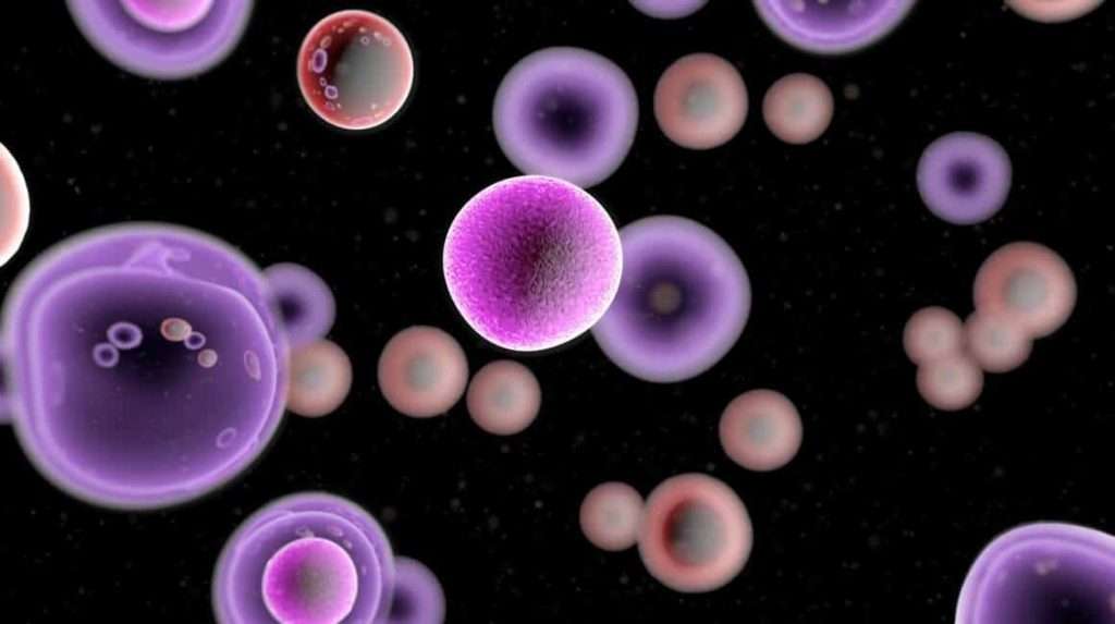 Cancer Rates 2026: Global Trends and New Research Breakthroughs