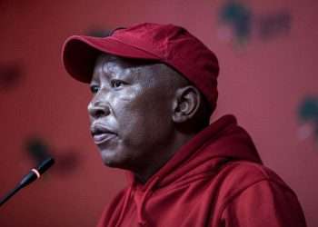Malema Defamation Lawsuit Kunene: The R1m Legal Battle