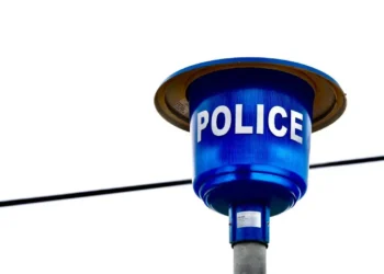 adiel-adams-wanted-saps-political-standoff-2026