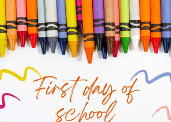WCED Admissions: Lessons from Cape School Rollout