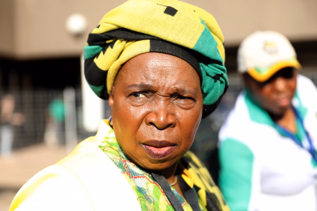 dlamini zuma south africa immigration
