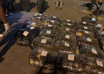 R1bn Drug Bust at Beitbridge: Africa’s Border Security Challenge