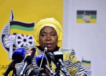 dlamini-zuma south africa immigration