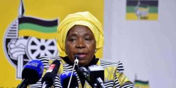 dlamini-zuma south africa immigration