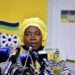 dlamini-zuma south africa immigration