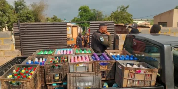 The Evolution of Organized Crime: A New Mafia Emerging in South Africa