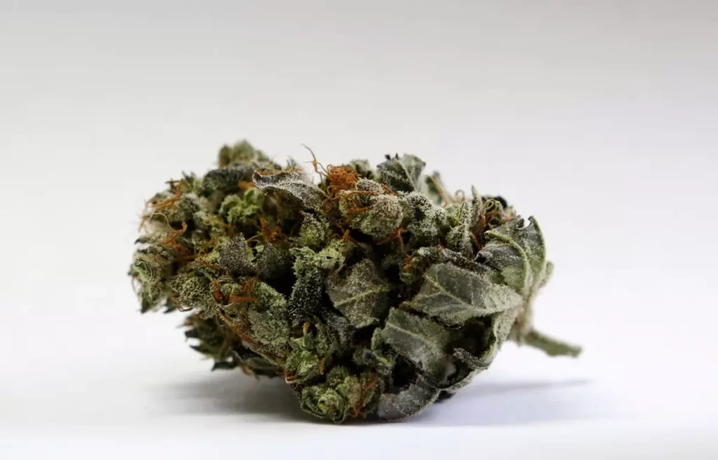 Big Shift: TSA Updates Medical Marijuana Airport security Policies