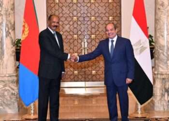 Cairo Summit Deepens Egyptian-Congolese Relations with Historic Economic and Security Accords