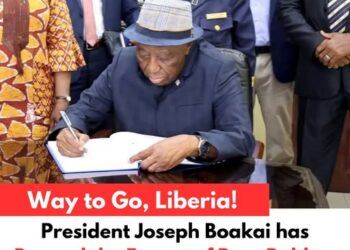 Manufacturing Boost in Liberia: Raw Rubber Export Ban Enacted