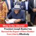 Manufacturing Boost in Liberia: Raw Rubber Export Ban Enacted